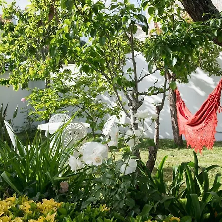 Moradia Em Vilar Dos Prazeres Ferienhaus Ourém